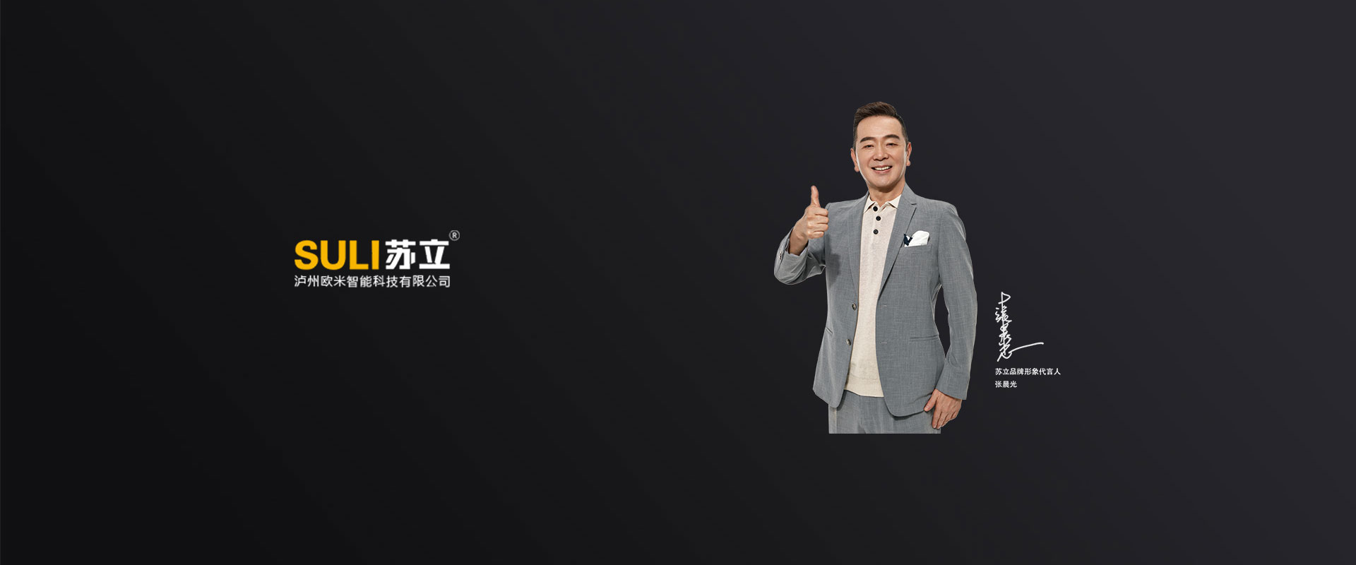 展示型网站
